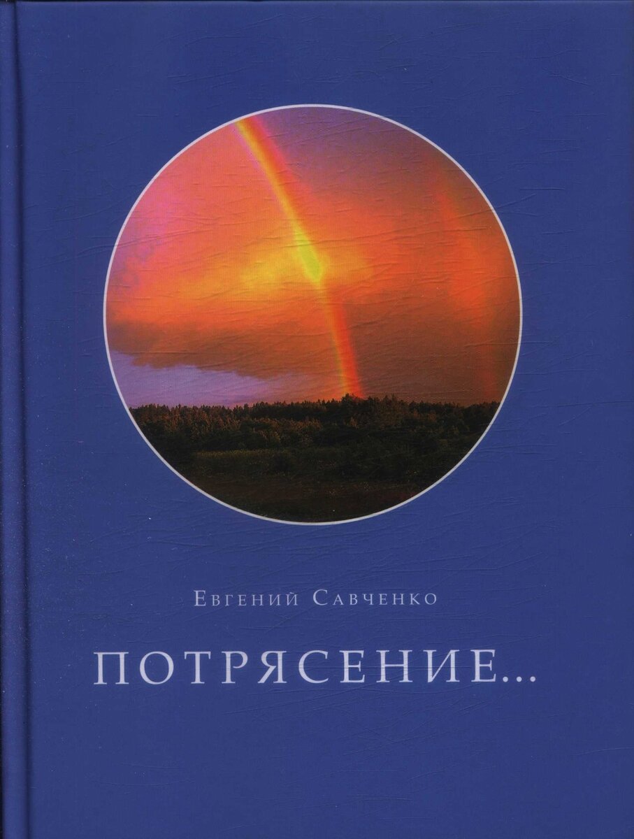 Книга потрясение савченко. Потрясение книга Савченко.