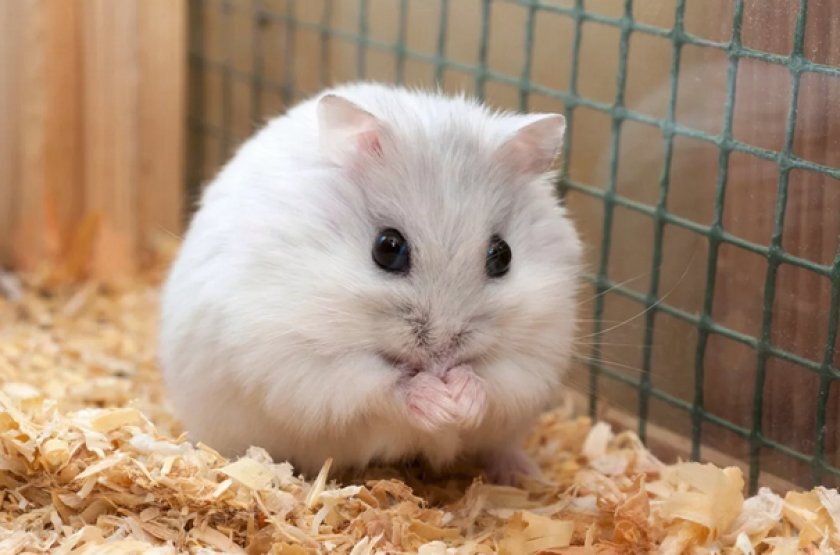 Тематическая картинка из свободных источников 