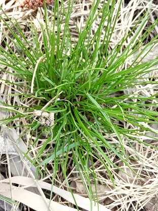 Фотография из личного архива автора