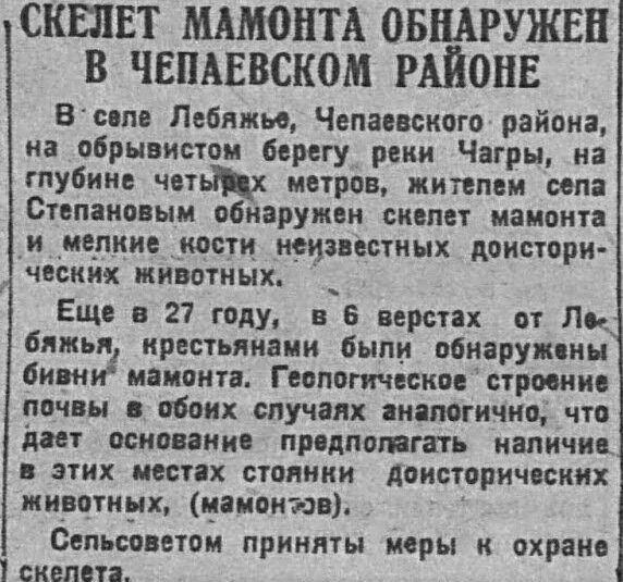 Со слонами с Самарской области все обстоит хорошо, части скелетов находят до сих пор