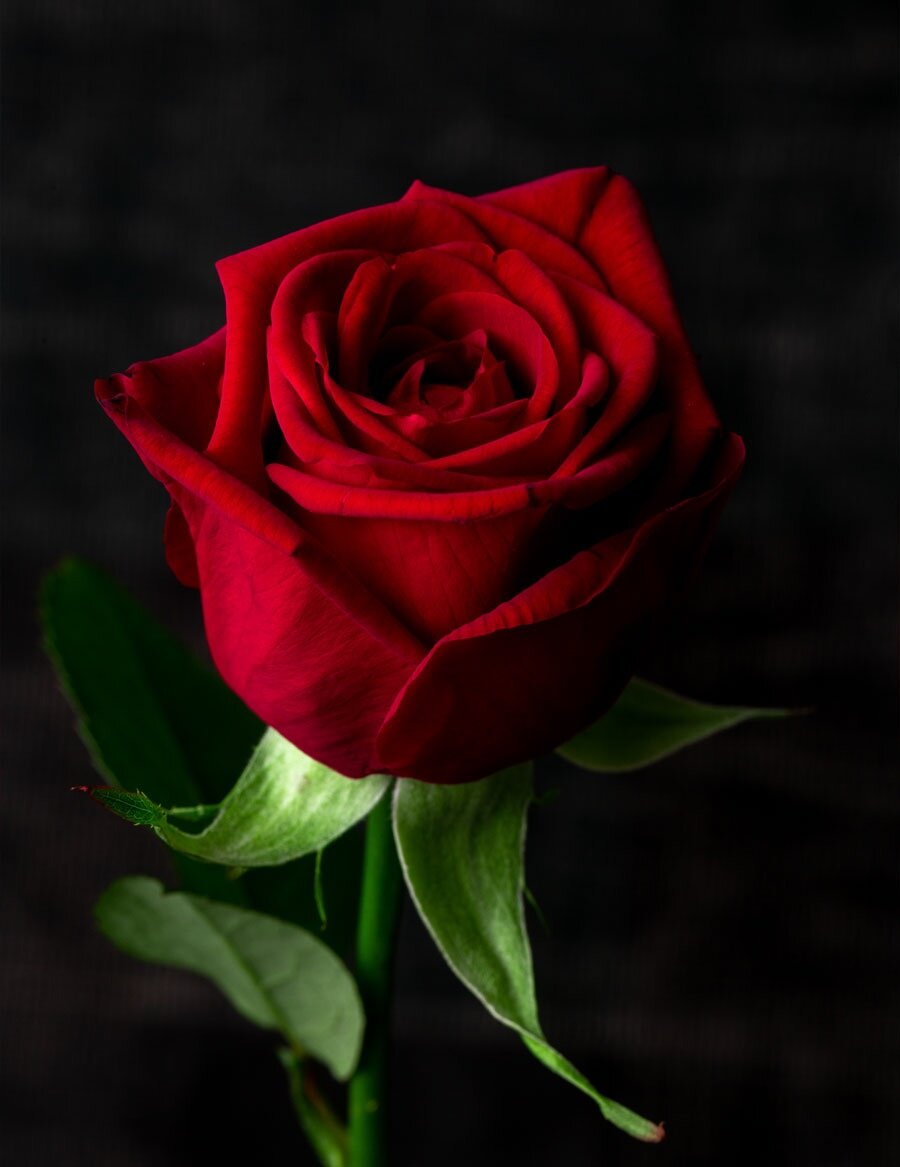 «Ред наоми»