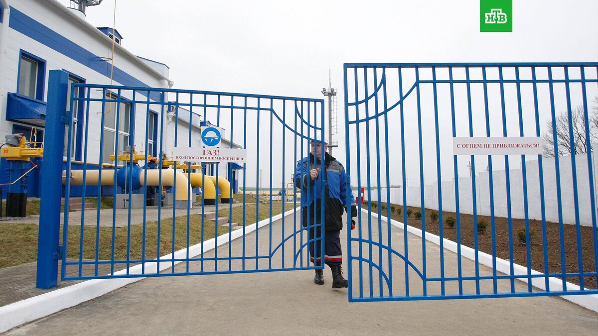    Фото: РИА Новости © 2022, Егор Еремов