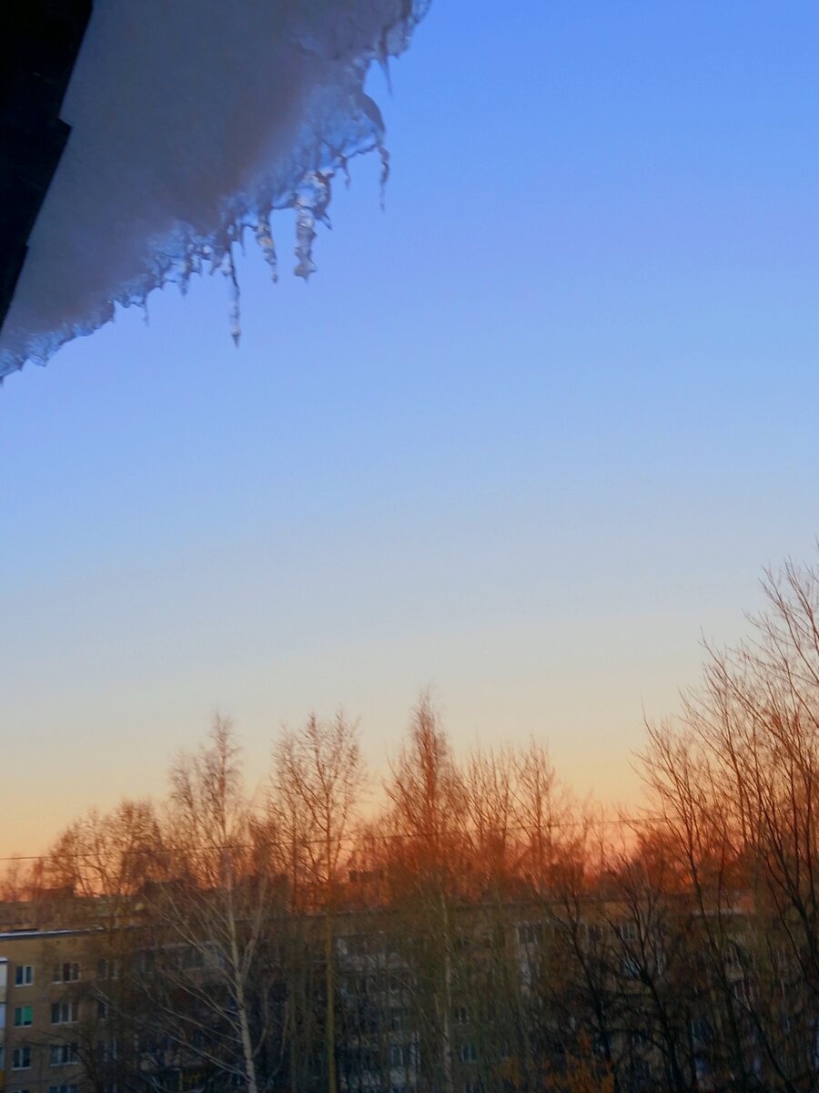 Фото автора.