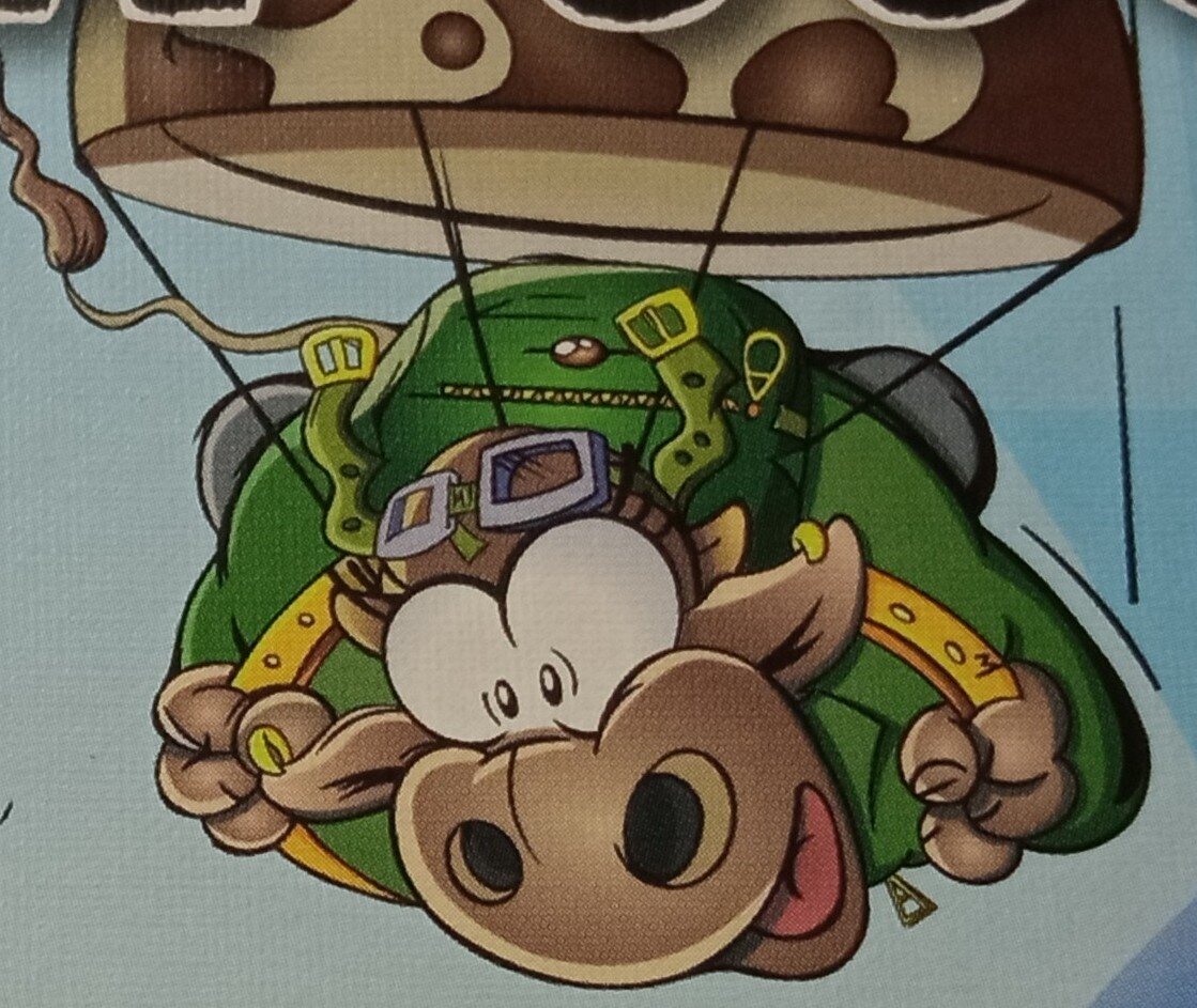 Фото рубашки колоды.