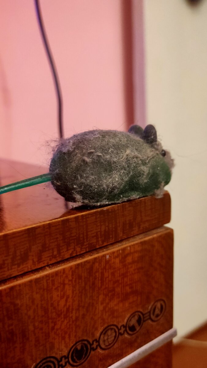 потеряно давно, найдена недавно. кот рад 