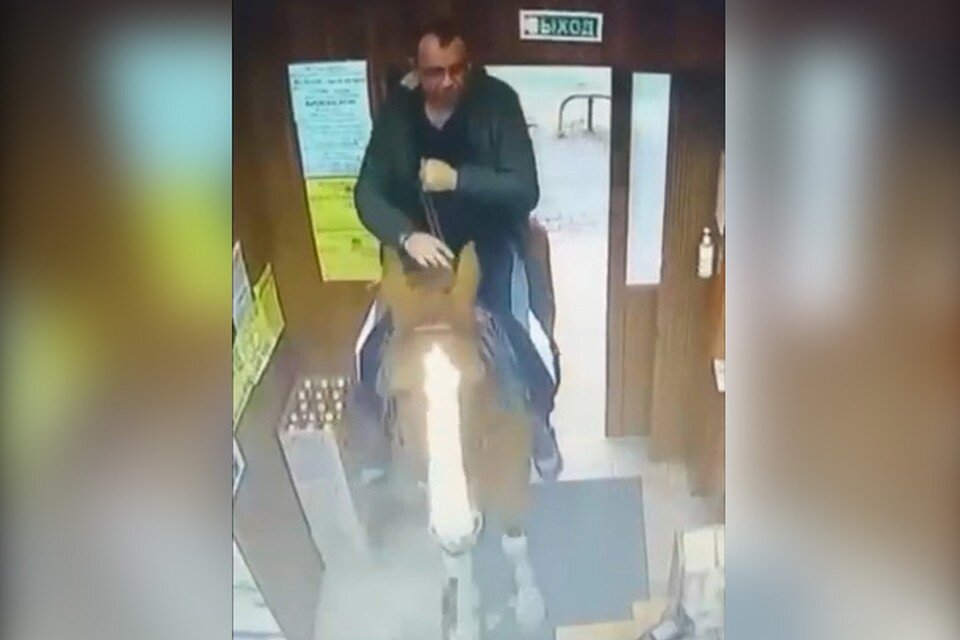     Мужчина решил просто уйти с лошадью обратно, ничего не купив.