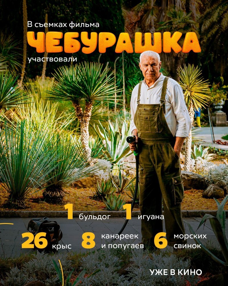    Чебурашка: любимый герой в новом видении