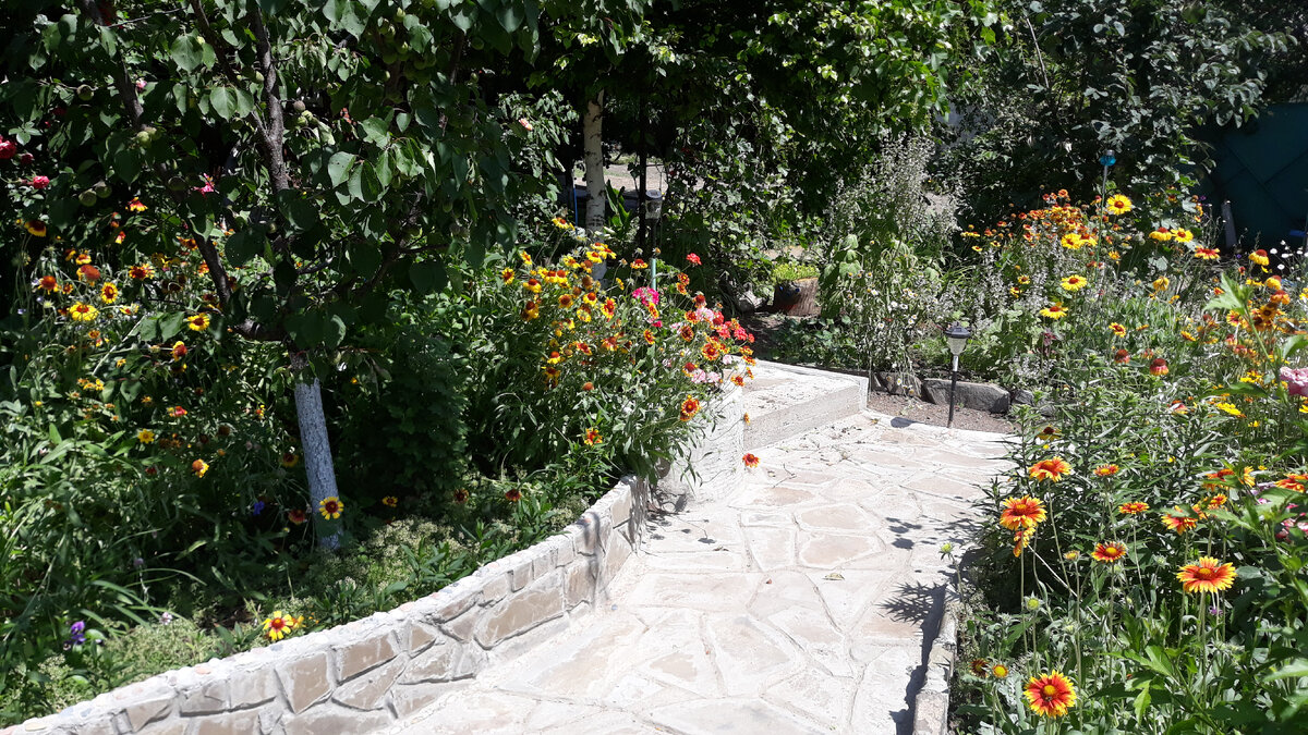 Фото автора.