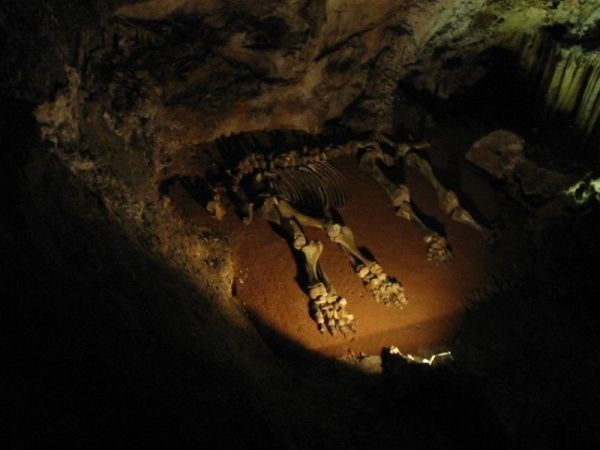 Horror cave сборка. Пещера страха.