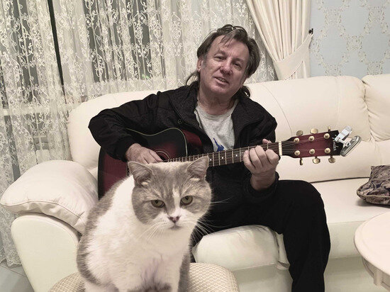   Соцсети