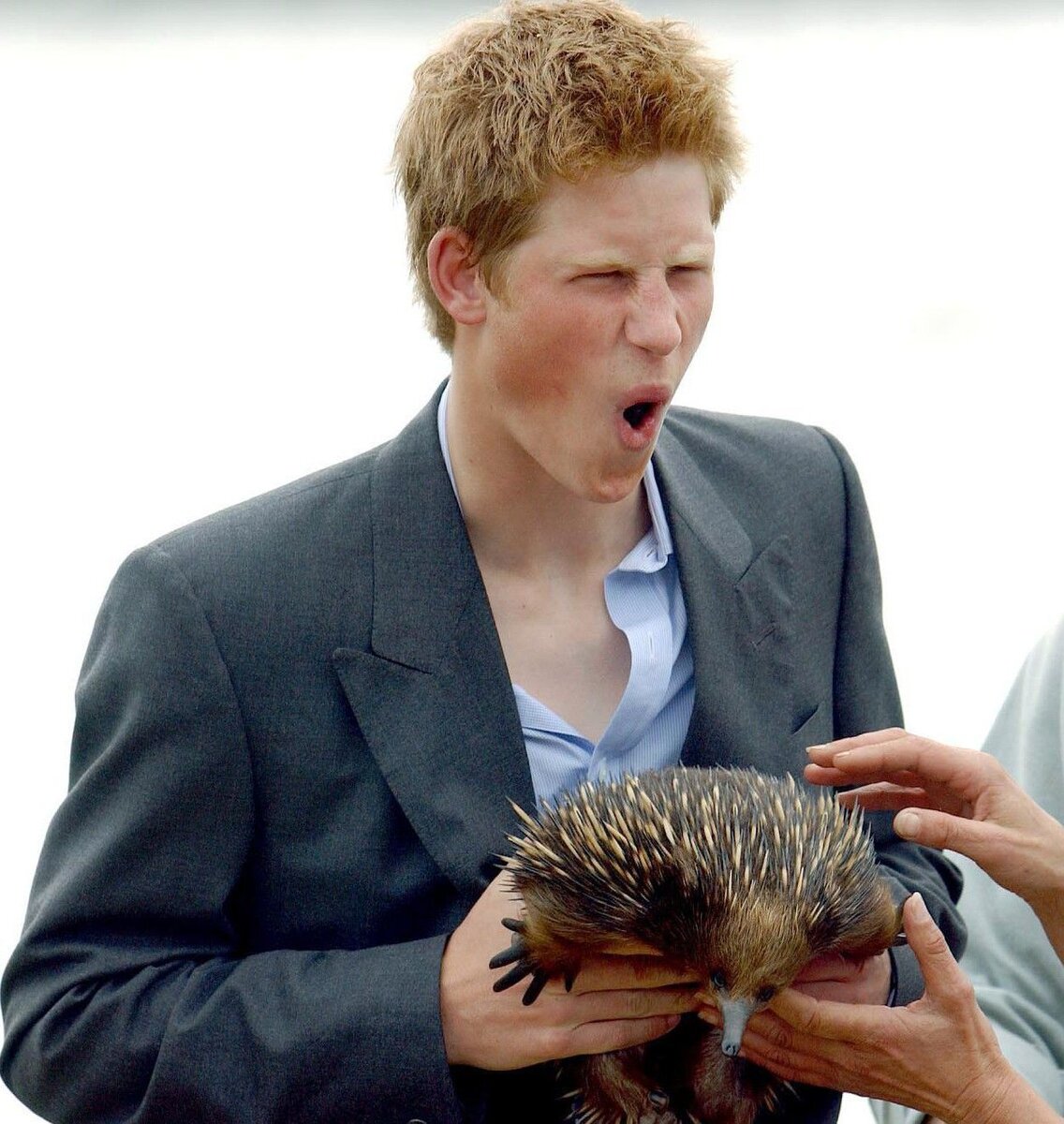 Вот оно, то самое фото.