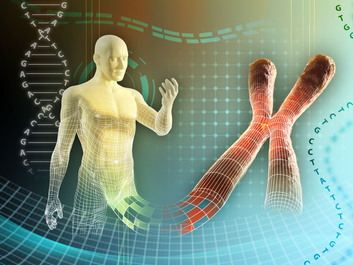 Любой новый организм. Генетика. Генетика и наследственные болезни человека. ДНК человека. Геном человека.