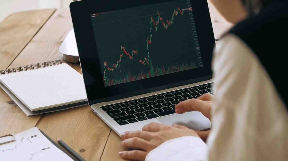 картинка автора