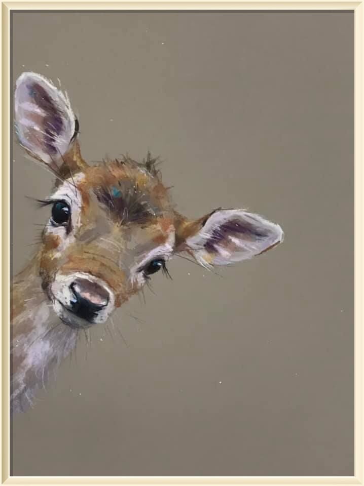 � ���� �������� / Nicky Litchfield  �� ����� " � ��� ��� �� ��� ������� ? "