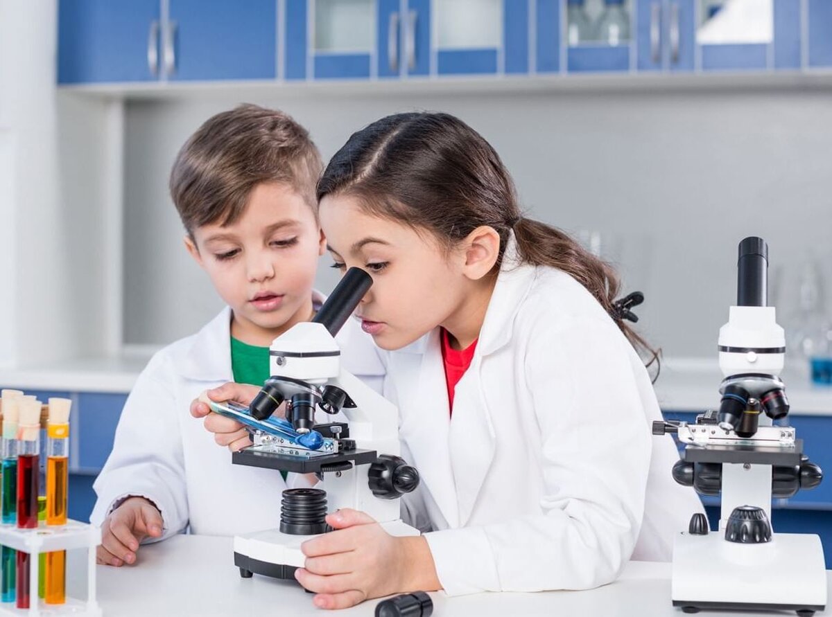 Фото: Яндекс Картинки