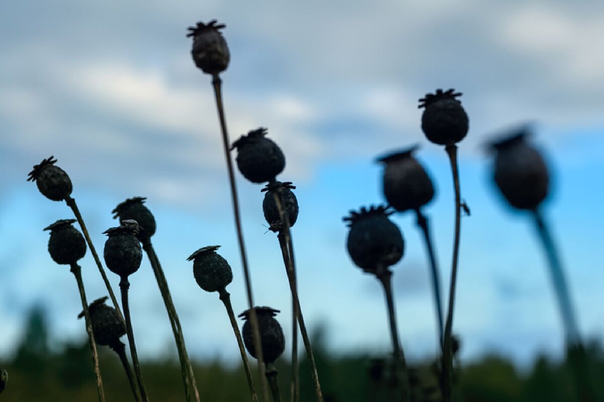   Фото: istockphoto.com
