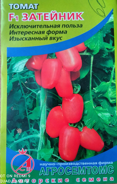 Радует богатым урожаем и вкусовыми качествами. Фото автора.