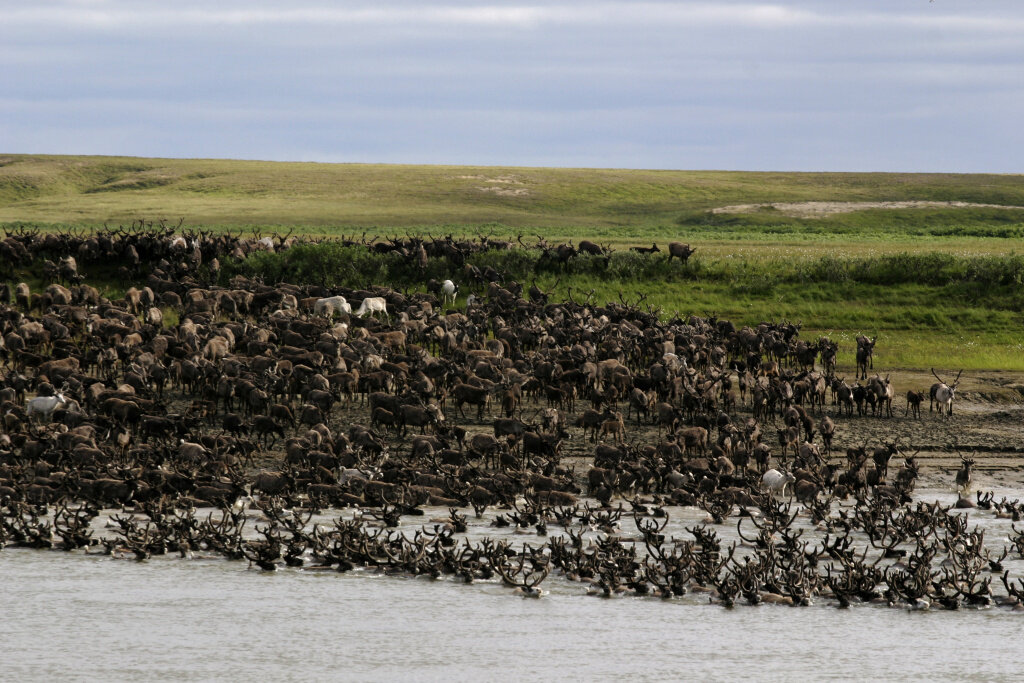 Фото: Вадим Кантор
