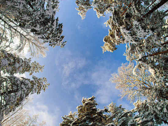     Фото: ru.freepik.com