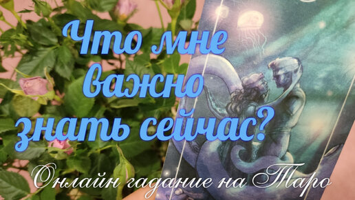 Что скоро поменяется🤷‍♀️ в Вашей личной жизни?💝 И кому не стоит 🔮слепо доверять?🐍