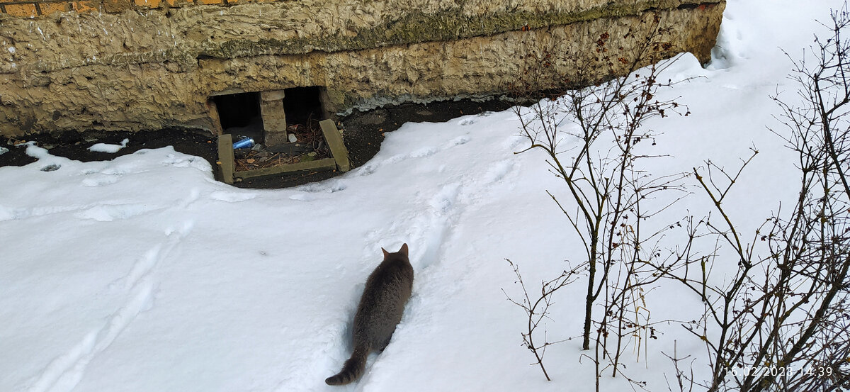 Фотография автора