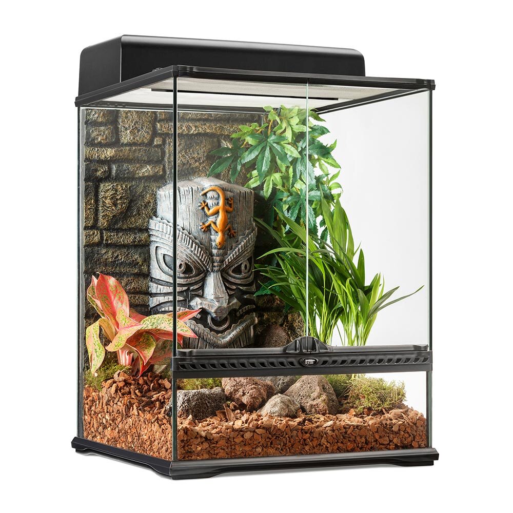https://www.boutiquedanimauxdrummond.com/product/terrarium-tiki-exo-terra-petit-haut-45-x-45-x-60-cm-18-x-18-x-24-po/