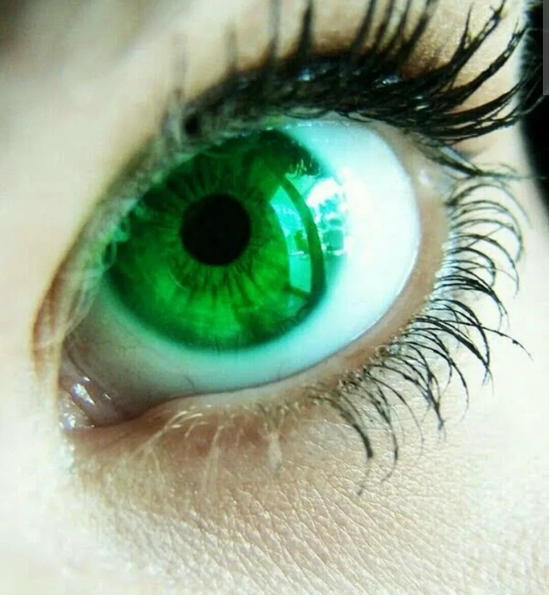 Ярко-зеленый цвет глаз