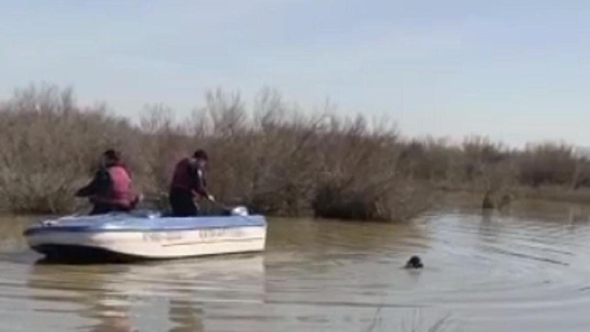    Двое мужчин в лодке и водолаз в реке:t.me/POLICE_of_KZ