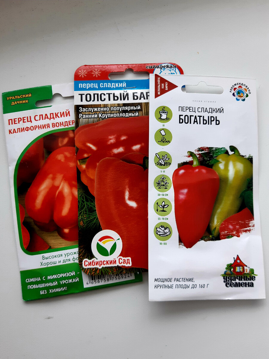 Взяла на пробу (фото автора)