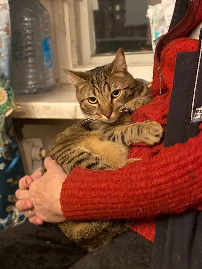 Листайте вправо, чтобы увидеть больше изображений