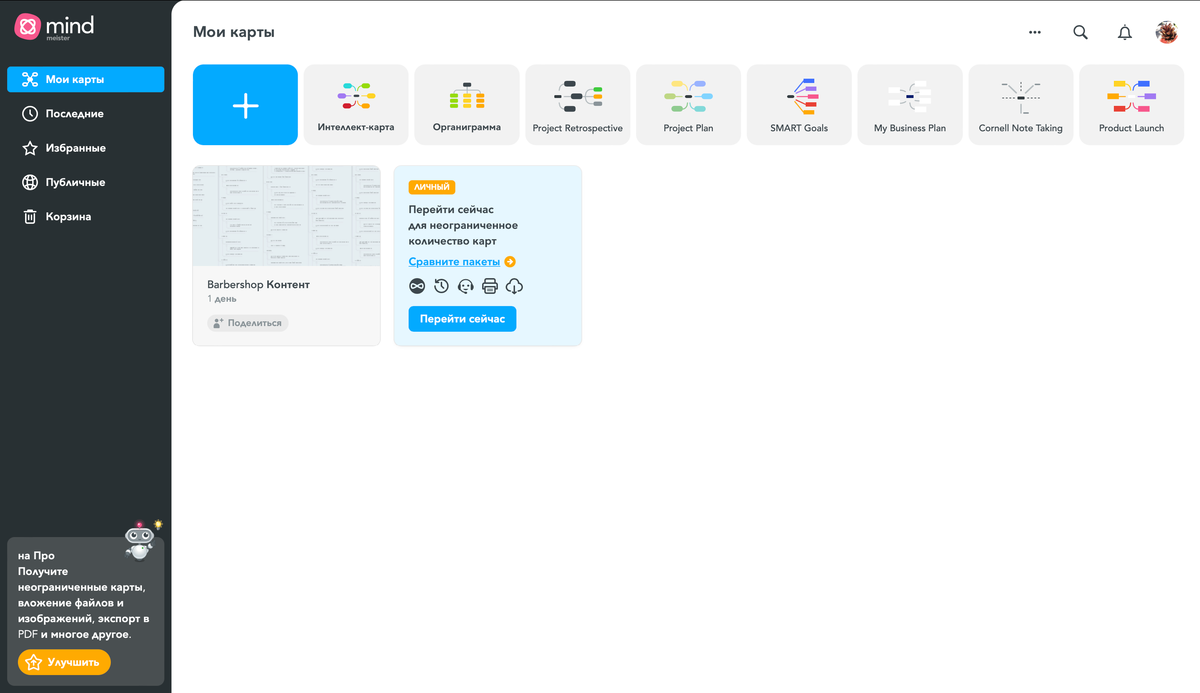 Это стандартное окно с интерфейсом MindMeister 
