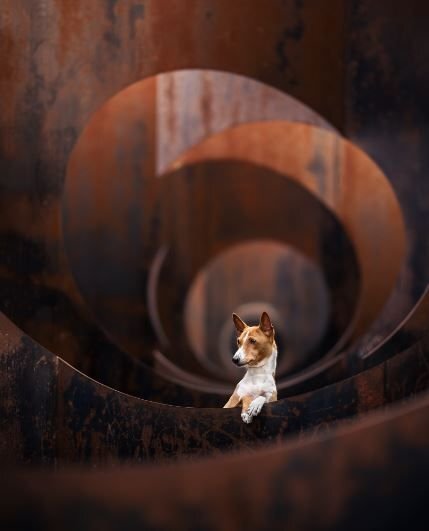      Фотограф Одри Белло