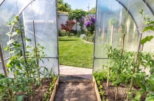    Фото: freepik.com Анна Полякова