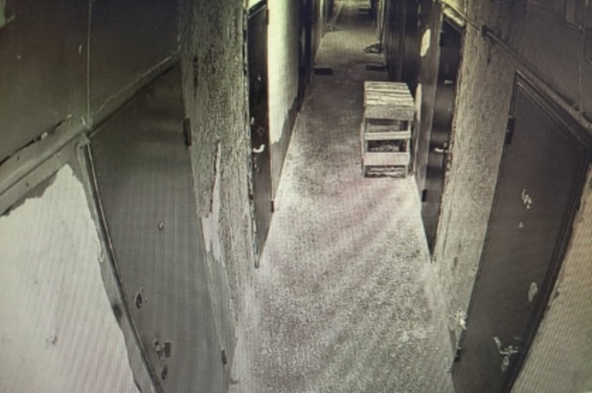    «Камера пыток?»: полицейские играли с подозреваемым в «слоника»