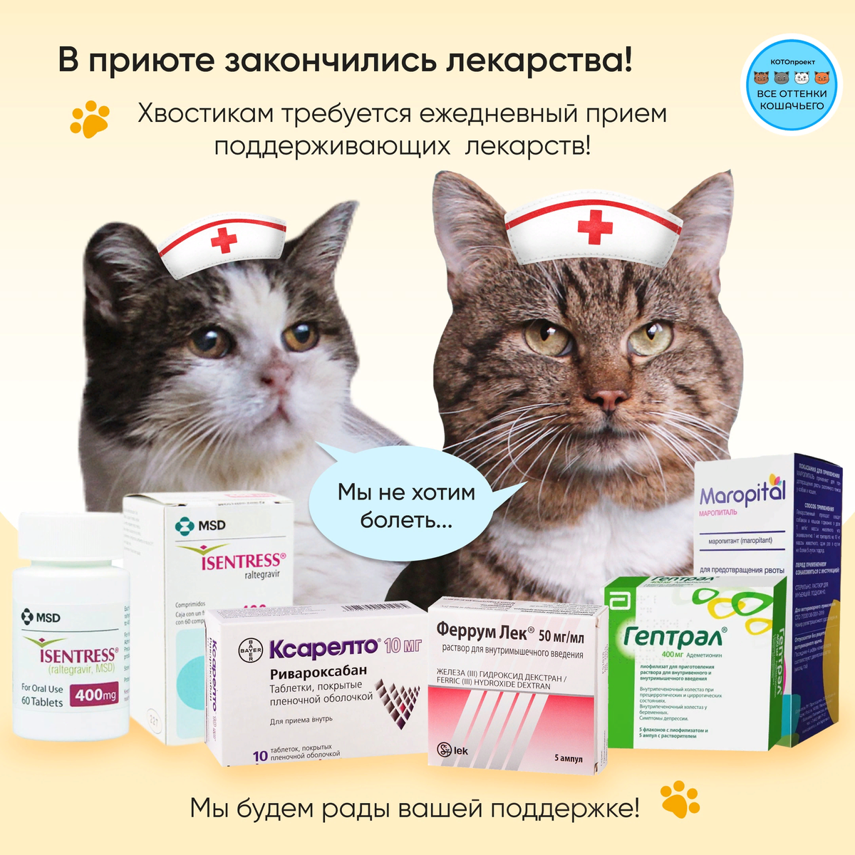 © ВСЕ ОТТЕНКИ КОШАЧЬЕГО 