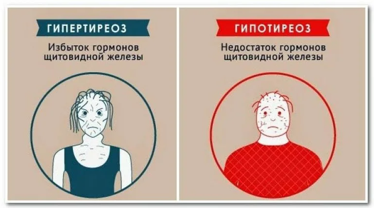 Вы точно человек?