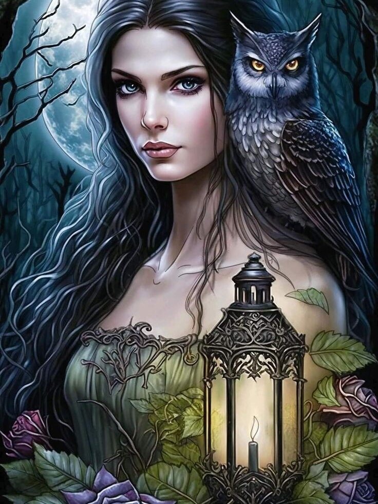 Фото открытый источник