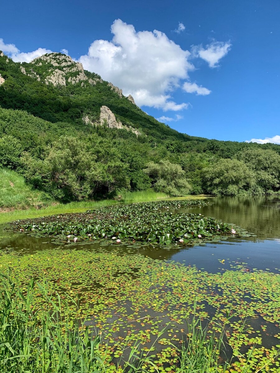 озеро на бештау