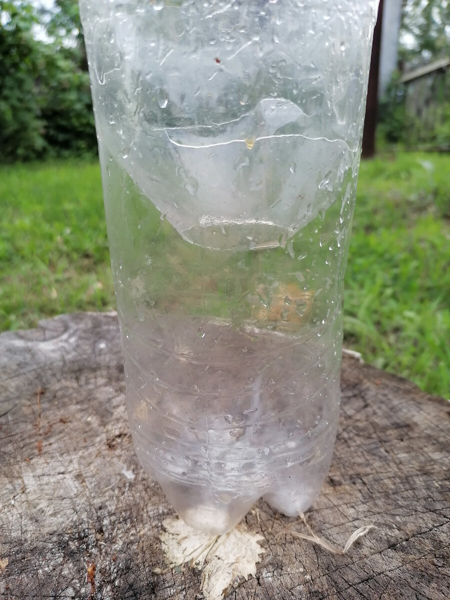 Вид ловушки сбоку. Фото автора.