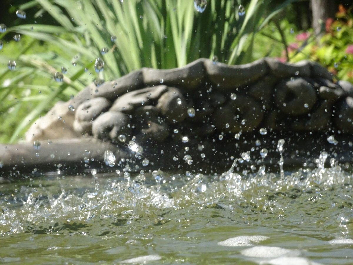 Брызги воды. Фото автора