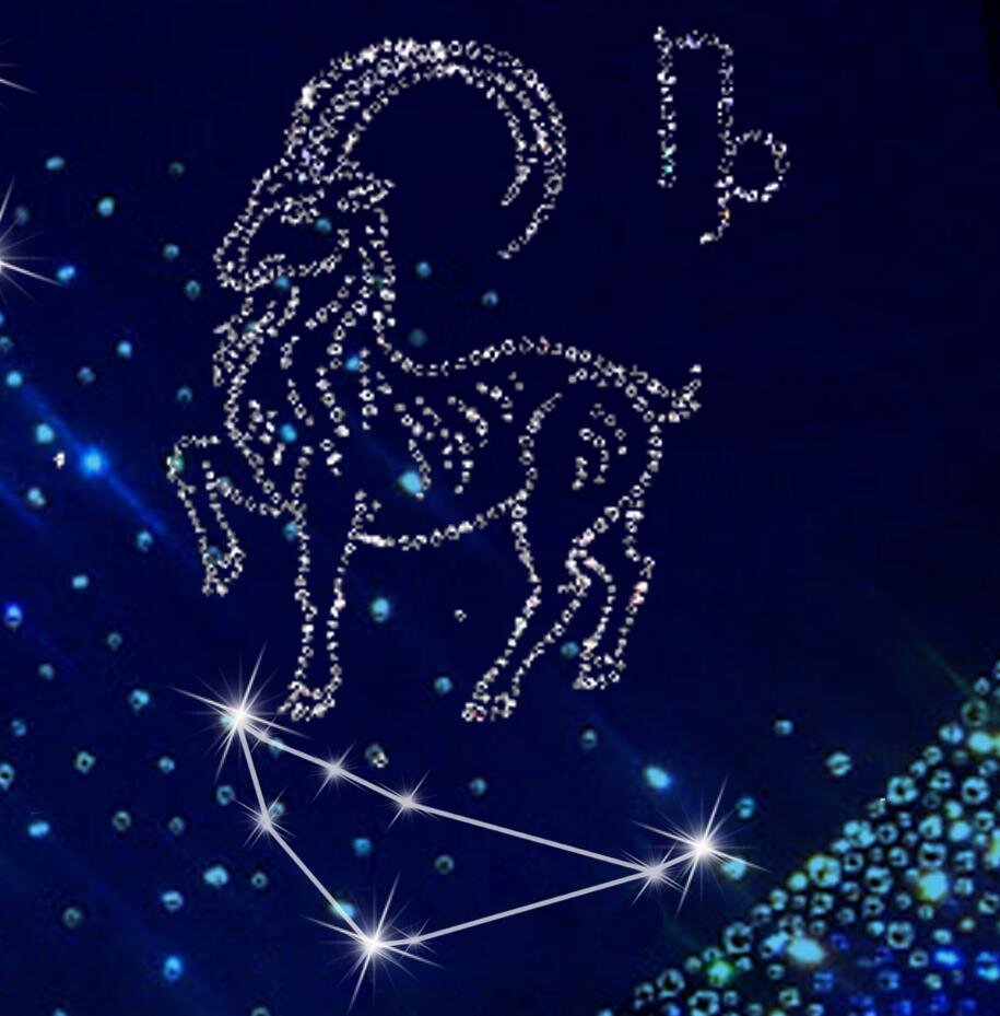 Фото из интернета 