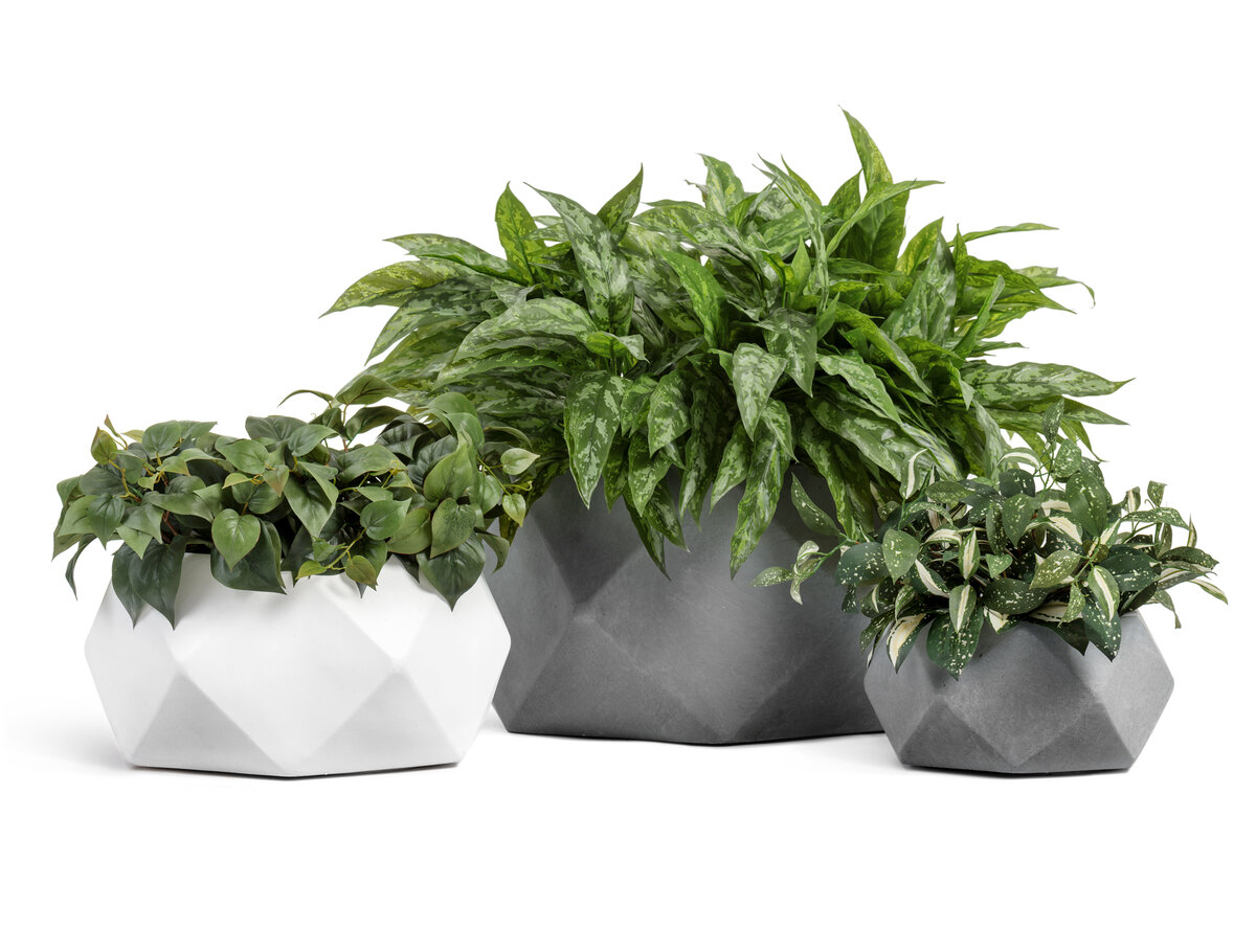 Кашпо Treez Collection представлены в различных формах