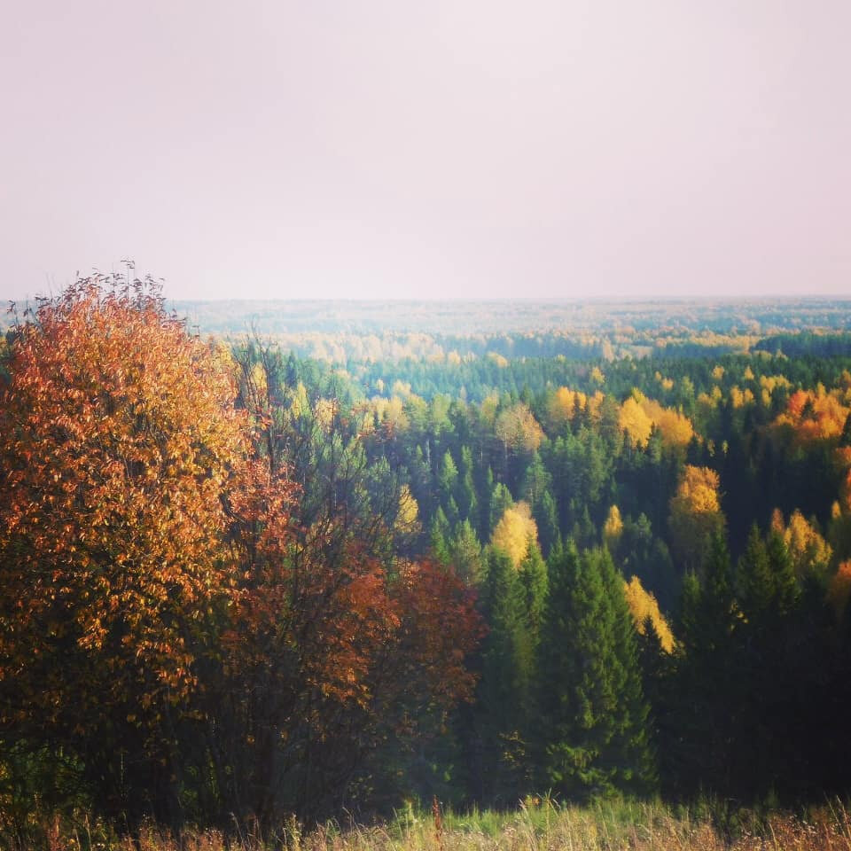 вид из Семёновой и Олиной времянки 