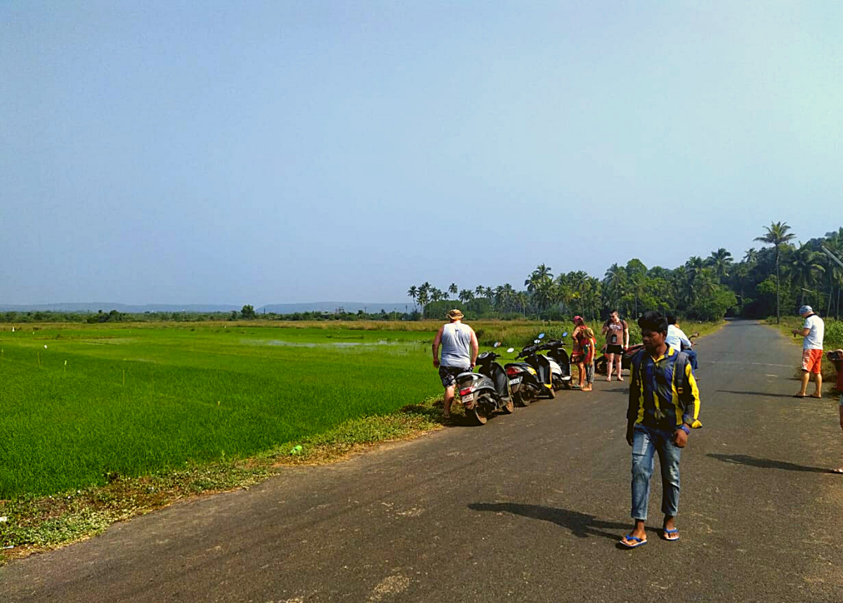 Привез туристов на рисовые поля, я справа в рыжих шортах.