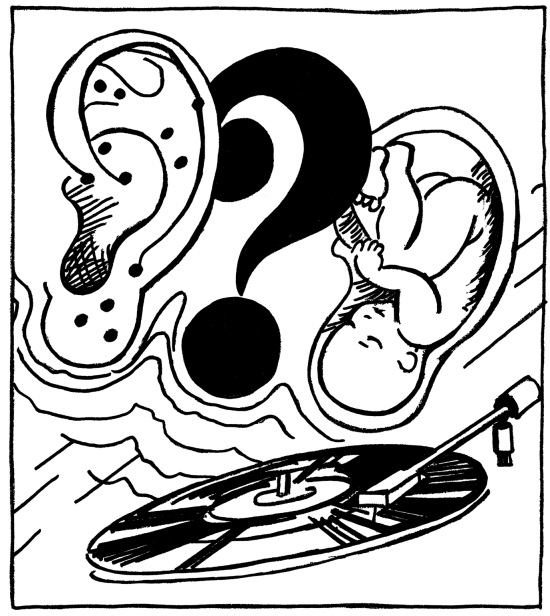 С идеей о том, что ухо как бы проецирует эмбрион, выступал в том числе и ученый П. Ножье.