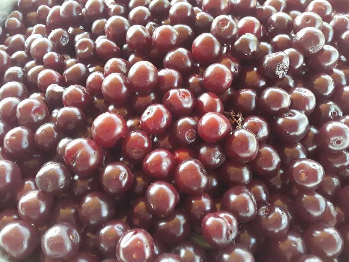 Вишню хорошо морозить на зимние штрудели