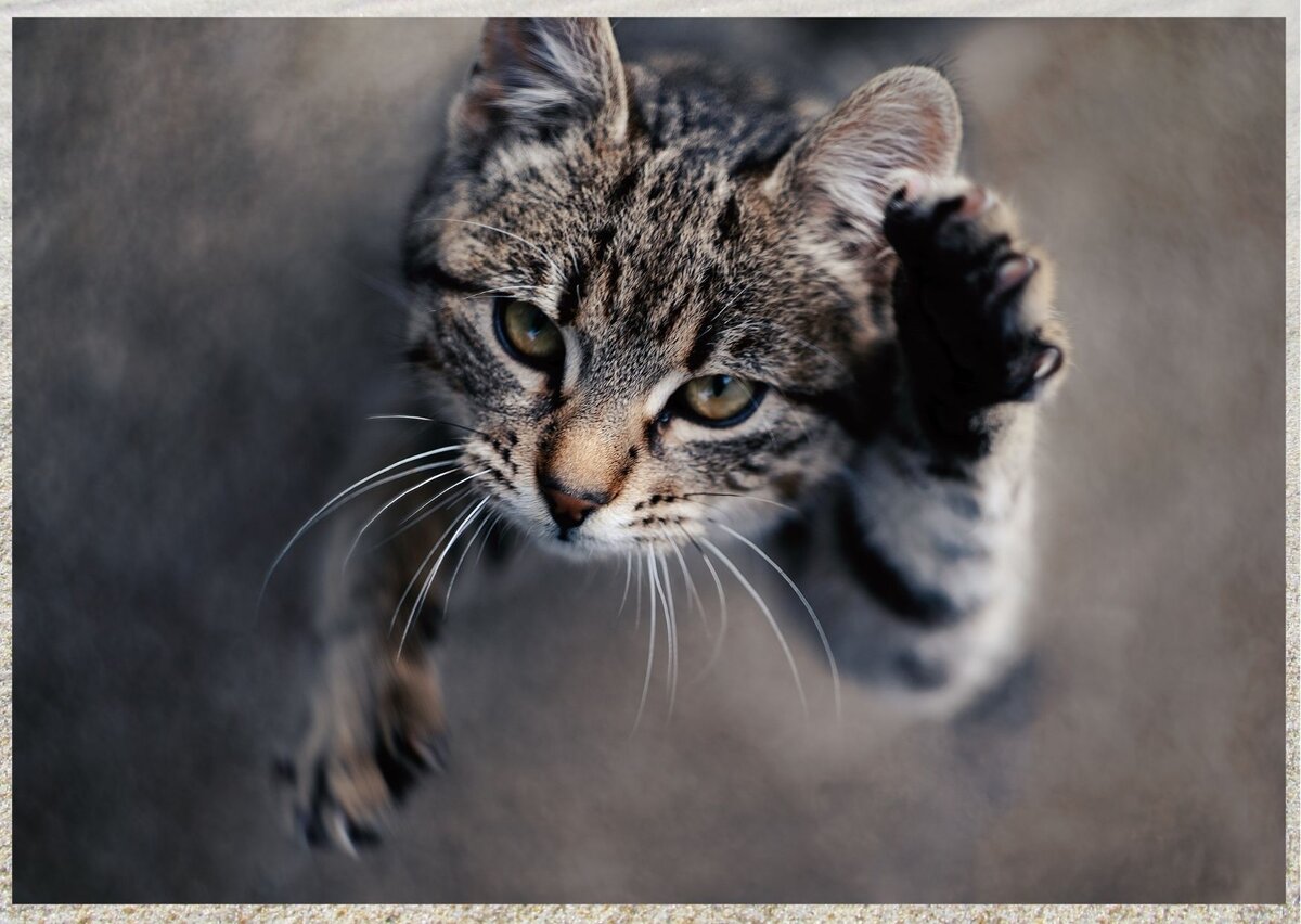 И буква "М" в наличии!