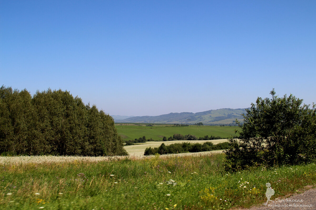 На фото: наша Сибирь. Фото автора.