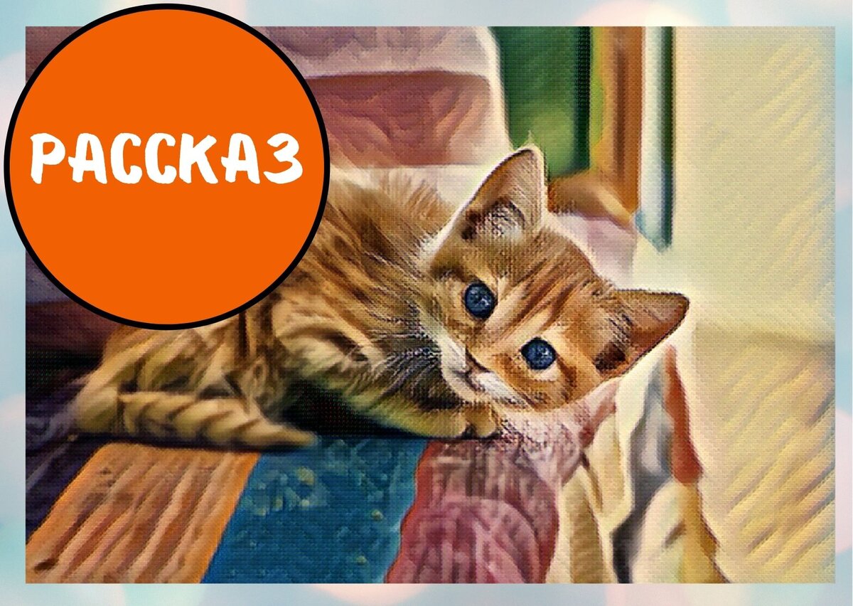 Как органично вписался он в жизнь Нины Викторовны (коллаж автора by Canva)