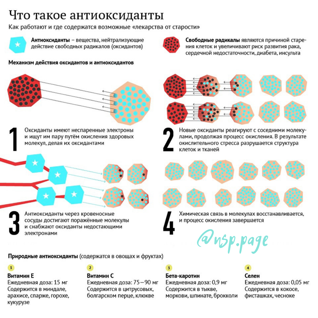 Антиоксиданты. Антиоксиданты это. Витамины оксиданты. Антиоксиданты примеры.